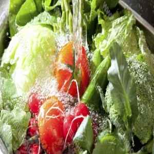 بازار فروش دستگاه شستشوی میوه