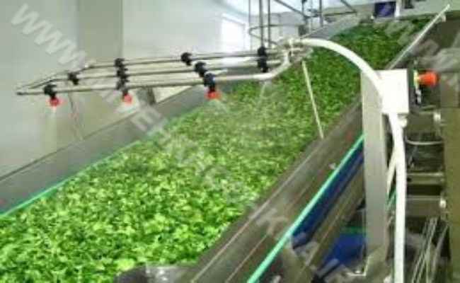 قیمت سفارشی وان شستشوی سبزیجات